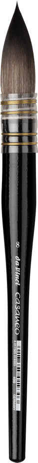 Casaneo 498 Wash Brush SH Sz 10