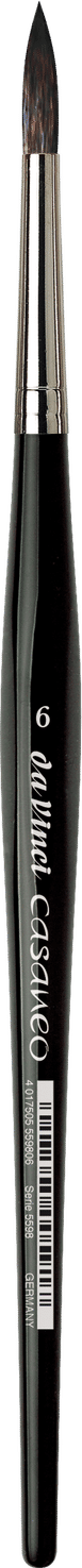 Casaneo 5598 Round Brush SH Sz 6