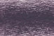 Grape