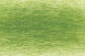 Moss Green