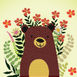 Hide N Seek Bear