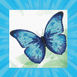Blue Butterfly