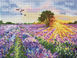 Sunset Lavender