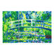 Water Lilies (Apres Monet)