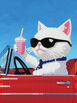 Convertible Cat 20 x 15cm