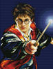 Harry Potter 46x36cm