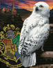Hedwig 46x36cm