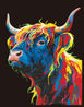 Highland Cow