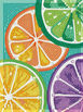 Citrus Splash 20 x 15cm