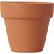 Clay Pot 7019