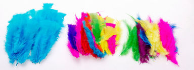 Jasart Feathers