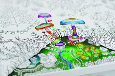 Johanna Basford Colouring Canvas