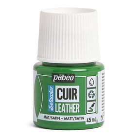 Leather Paint