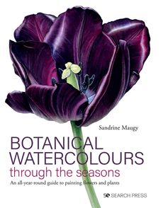 Botanical Watercolours Through The Seasons