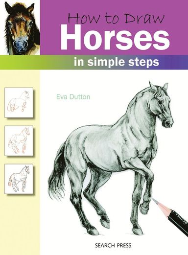 How To Draw Horses in Simple Steps